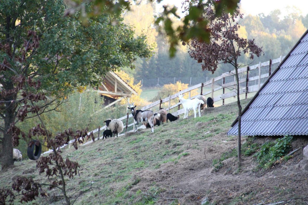Siedlisko Gizewo Villa Exteriör bild
